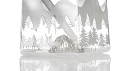 MK129- 14″ MK100 Icy Mountain Beaker