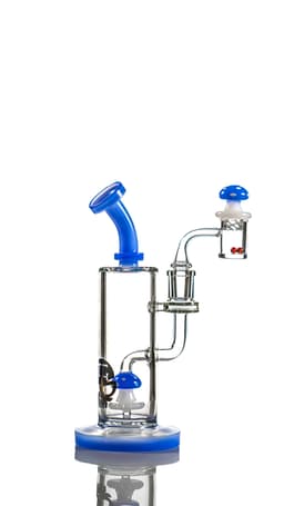 TX4 8″ Toxic Mushroom Rig Kits