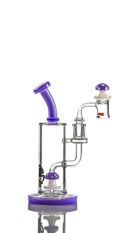 TX4 8″ Toxic Mushroom Rig Kits
