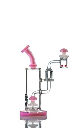 TX4 8″ Toxic Mushroom Rig Kits