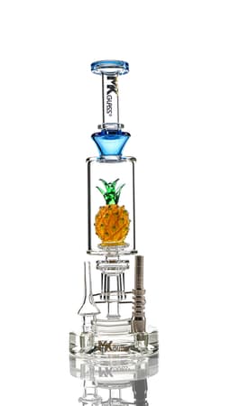 MK100 Pineapple Nectar Collector