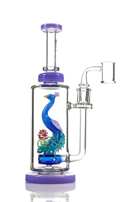 Toxic Blossom Peacock Rig (TX100)