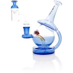 6″ Toxic Bee Dome Complete Rig Kit (TX34)